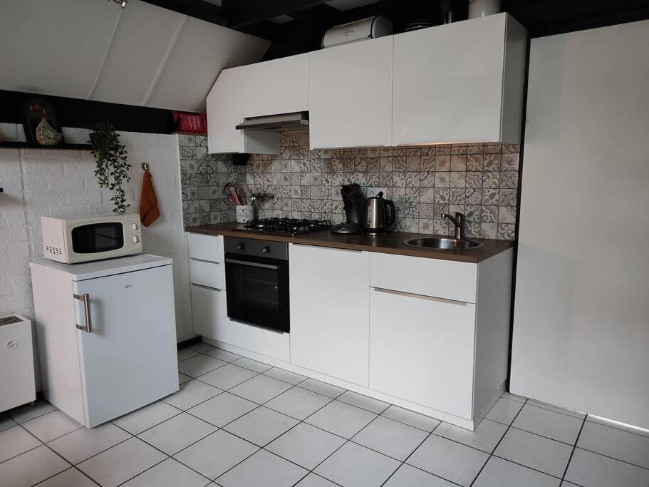 Vrijstaande Recreatiebungalow Met Slaapvide Posterholt Luaran gambar